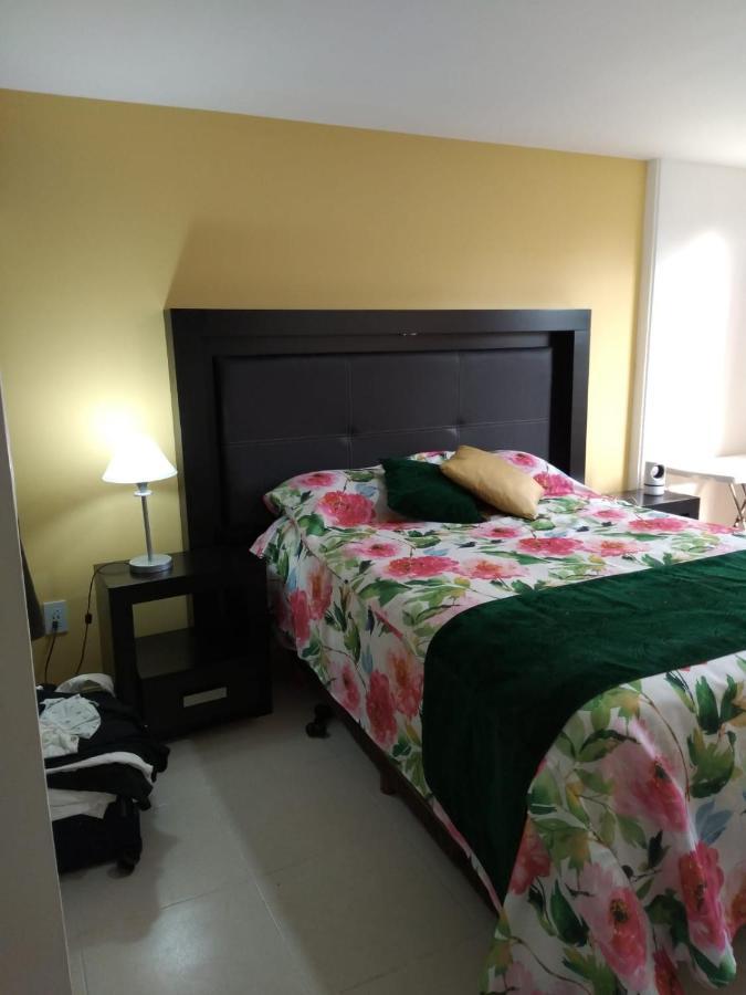 מקסיקו סיטי Charming Sunny Bedroom Overlooking Beautiful Amsterdam Avenue In Best Condesa Area מראה חיצוני תמונה