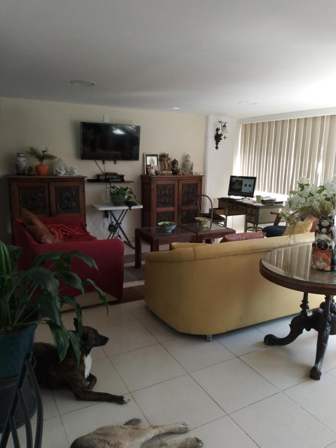 מקסיקו סיטי Charming Sunny Bedroom Overlooking Beautiful Amsterdam Avenue In Best Condesa Area מראה חיצוני תמונה
