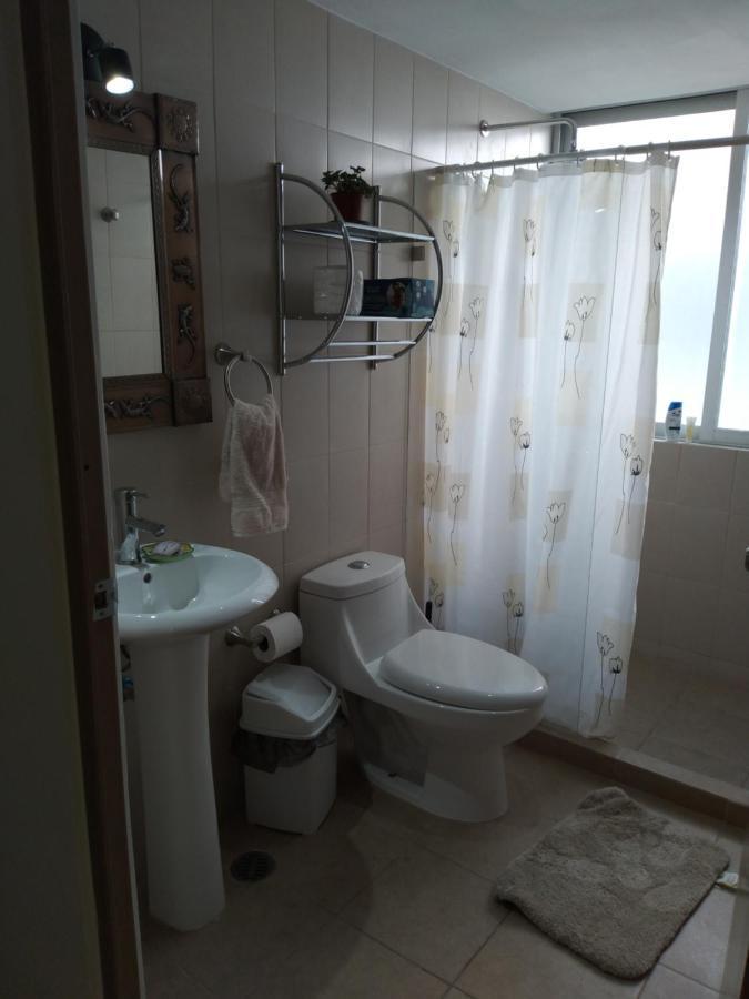 מקסיקו סיטי Charming Sunny Bedroom Overlooking Beautiful Amsterdam Avenue In Best Condesa Area מראה חיצוני תמונה