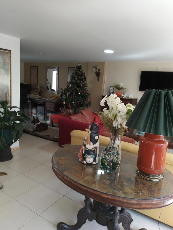 מקסיקו סיטי Charming Sunny Bedroom Overlooking Beautiful Amsterdam Avenue In Best Condesa Area מראה חיצוני תמונה