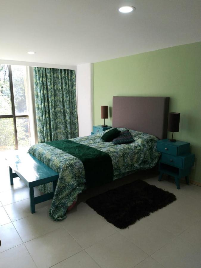 מקסיקו סיטי Charming Sunny Bedroom Overlooking Beautiful Amsterdam Avenue In Best Condesa Area מראה חיצוני תמונה