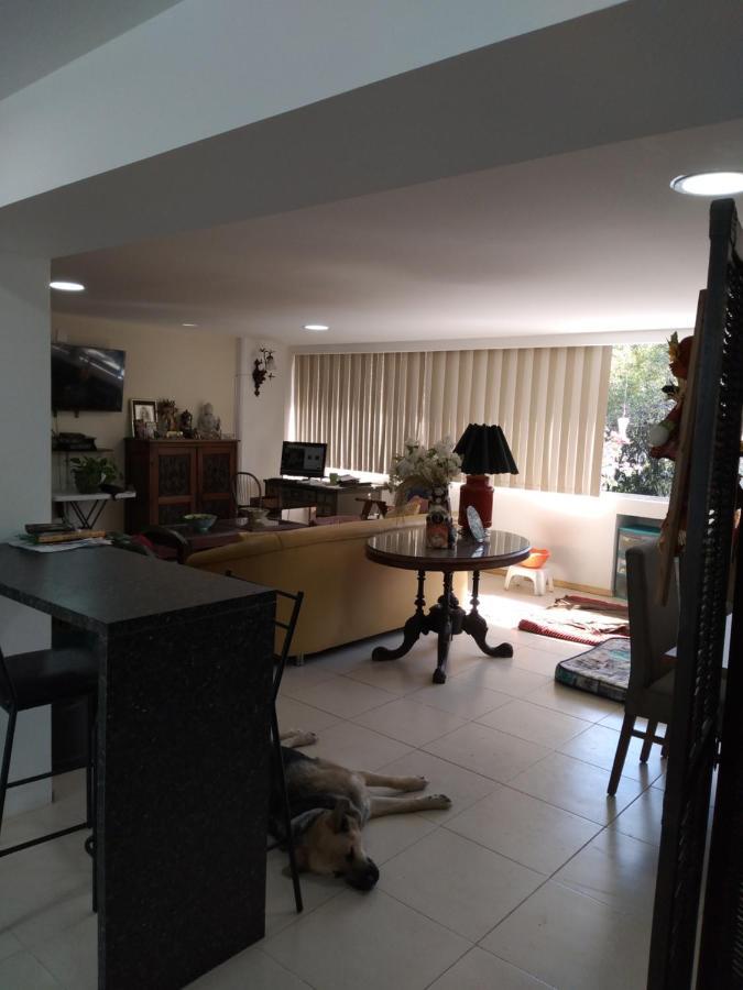 מקסיקו סיטי Charming Sunny Bedroom Overlooking Beautiful Amsterdam Avenue In Best Condesa Area מראה חיצוני תמונה