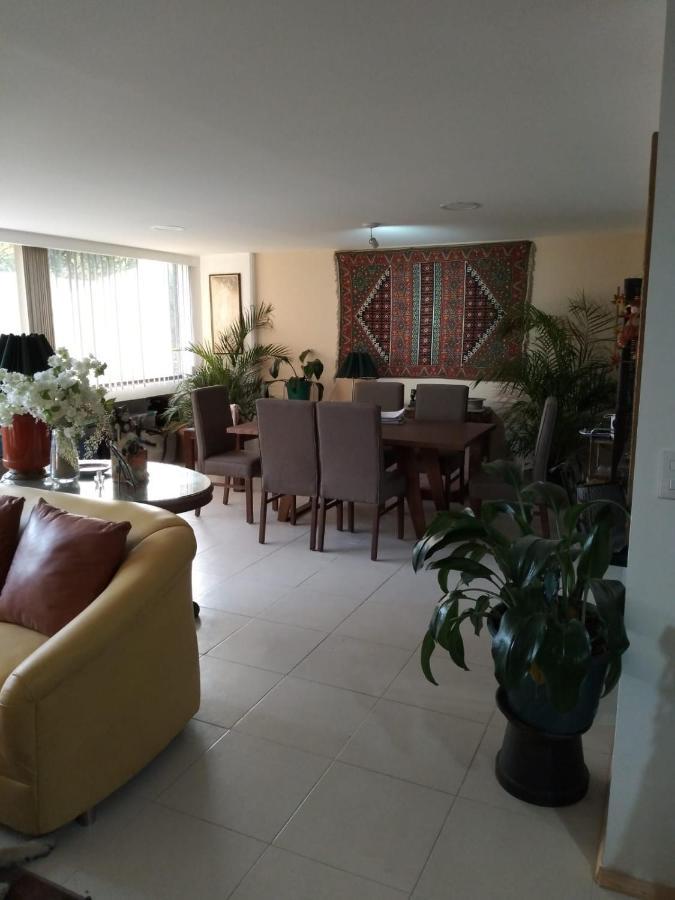מקסיקו סיטי Charming Sunny Bedroom Overlooking Beautiful Amsterdam Avenue In Best Condesa Area מראה חיצוני תמונה