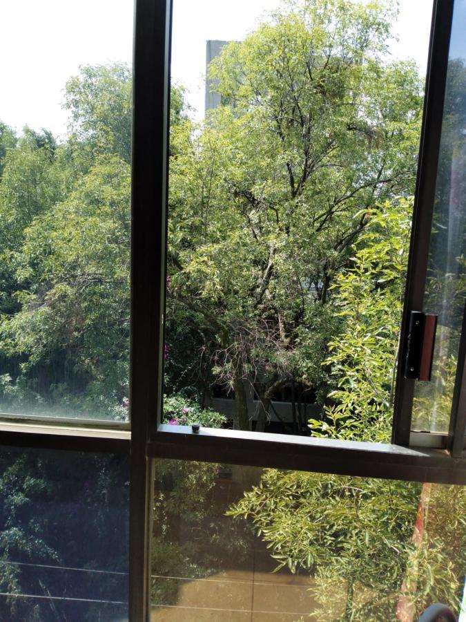 מקסיקו סיטי Charming Sunny Bedroom Overlooking Beautiful Amsterdam Avenue In Best Condesa Area מראה חיצוני תמונה