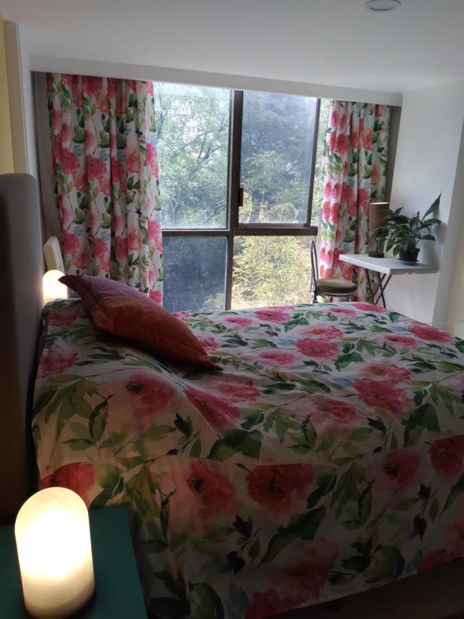 מקסיקו סיטי Charming Sunny Bedroom Overlooking Beautiful Amsterdam Avenue In Best Condesa Area מראה חיצוני תמונה