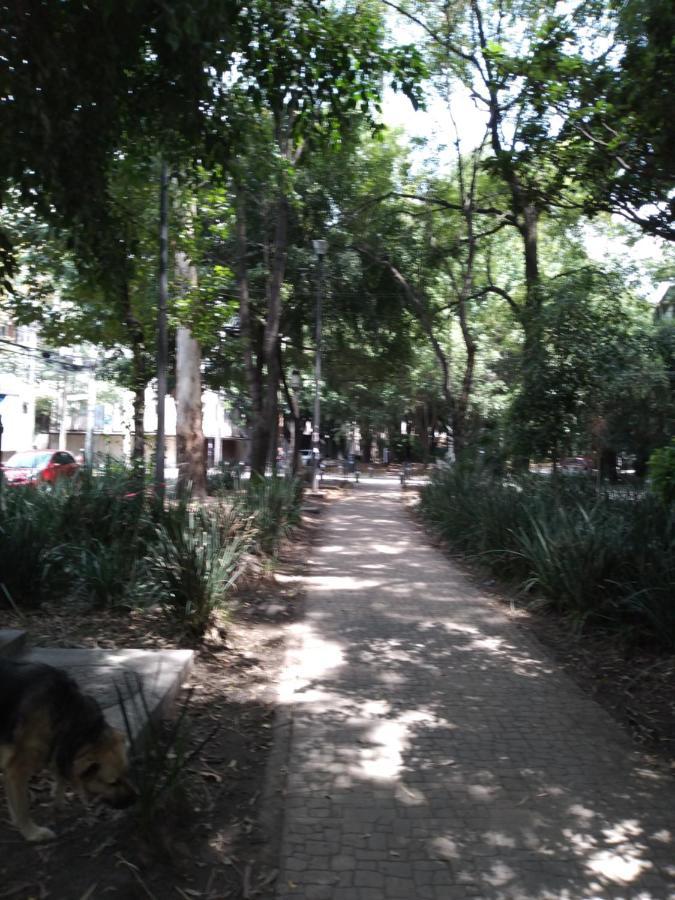 מקסיקו סיטי Charming Sunny Bedroom Overlooking Beautiful Amsterdam Avenue In Best Condesa Area מראה חיצוני תמונה