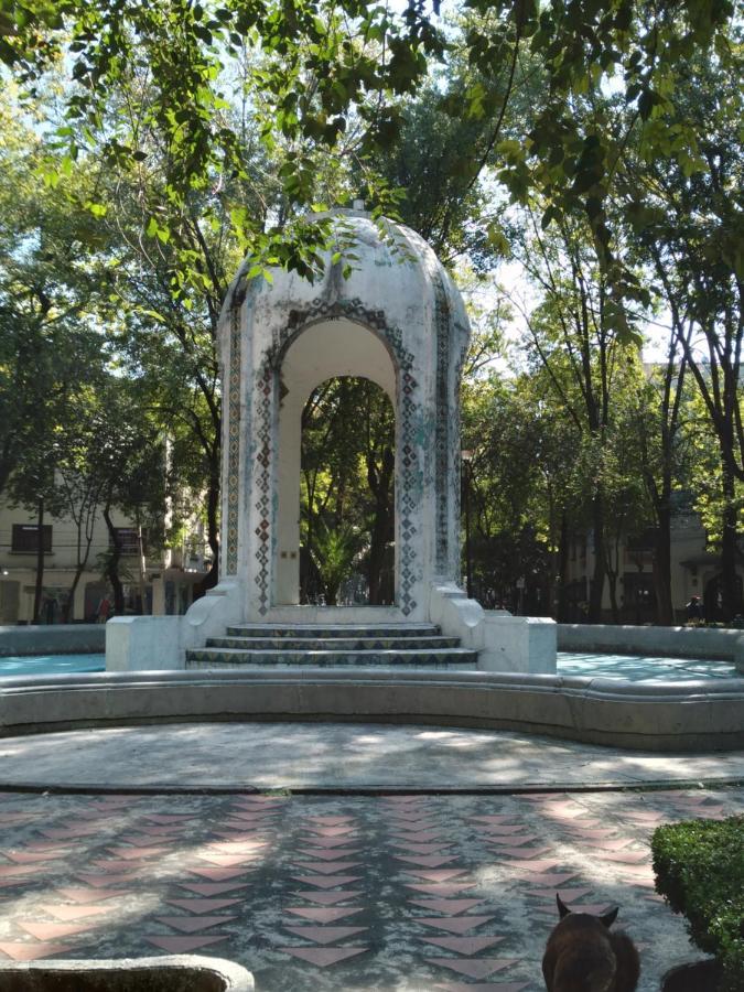 מקסיקו סיטי Charming Sunny Bedroom Overlooking Beautiful Amsterdam Avenue In Best Condesa Area מראה חיצוני תמונה