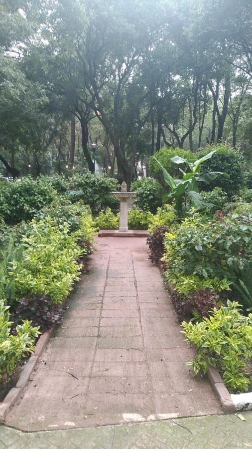 מקסיקו סיטי Charming Sunny Bedroom Overlooking Beautiful Amsterdam Avenue In Best Condesa Area מראה חיצוני תמונה